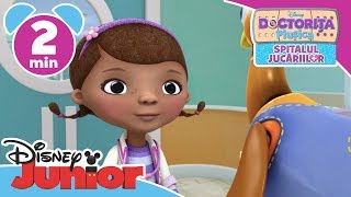 Doctorița Plușica | Disney Junior România | Poate găina să treacă strada?