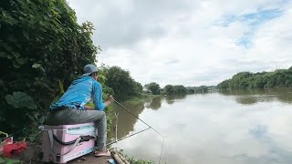 破防了，釣魚佬居然去菜市場買魚，不過是真香！ 【野釣長空】