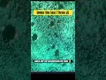Under the Sea | Three JS #tutorials #threejs  #coding #shorts