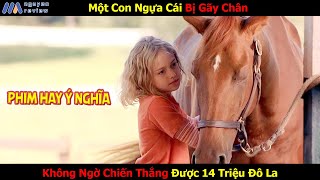 [Review Phim] Một Con Ngựa Cái Bị Gãy Chân, Không Ngờ Chiến Thắng Được 14 Triệu Đô La