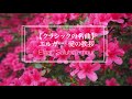 【ライブ演奏】エルガー: 愛の挨拶 / Elgar: Salut d'amour