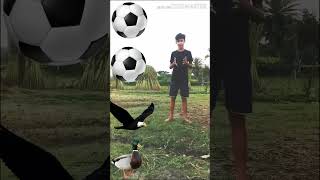 ball to duck ~ eagle ~ parrot ~ picock # funny vfx video ## 210 million