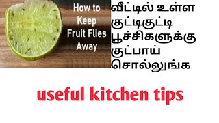 சின்ன சின்ன ஈக்கள் உங்கள் வீட்டில் நிறைய இருக்கா இதை மட்டும் பண்ணுங்க/How to get rid of fruitflies