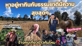 [E74]​หาอยู่หากินตามทำธรรมชาติ​มีความสุข​|Jasmin​ Kaya​#สะใภ้ตุรกี #แม่บ้านตุรกี#ใช้ชีวิตแบบบ้านๆ