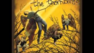 The Thornbirds - Thought You Should Know