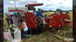 LOVOL 88F RICE COMBINE HARVESTER PH. Amazing harvesting rice so easy in the phillipines