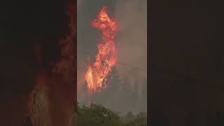 Massive wildfire burning across Canada-U.S. border #shorts