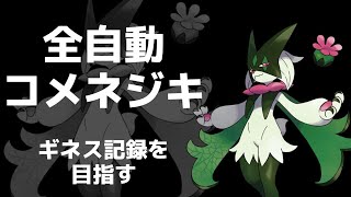 【コメネジキ】視聴者のコメント操作で金ネジキの連勝ギネス記録チャレンジ【ポケットモンスタープラチナ】