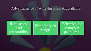 Optimization Methods | Particle Swarm Optimization | Video Presentation