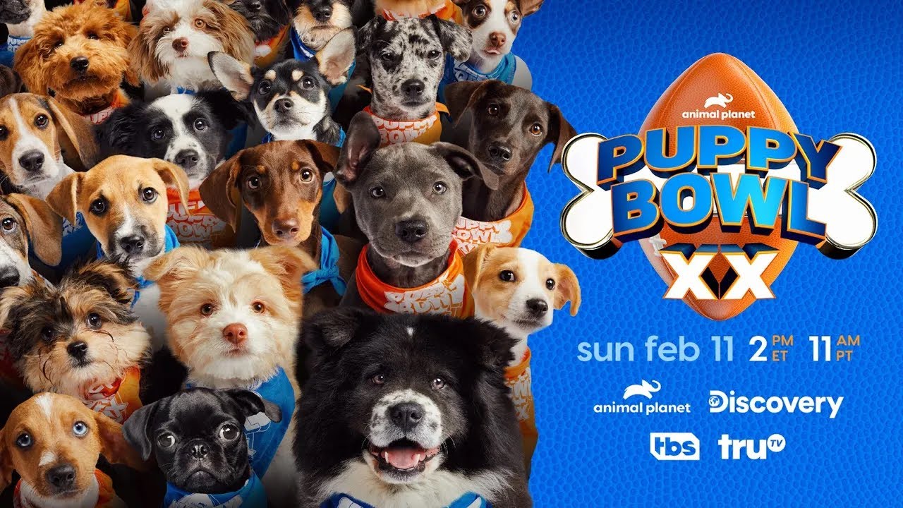 2024 Puppy Bowl! - YouTube