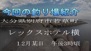 若草港　（レックスホテル横）　大分県別府市　エギング　穴釣り