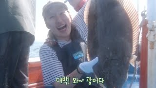 충남 서천 앞바다의 제철 맞은 광어 잡이 현장! @생방송 투데이 1638회 20160520