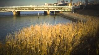 Yodogawa River Bridge - Osaka