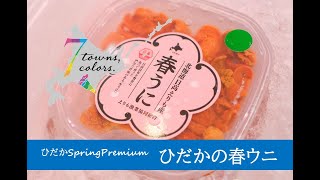 ①ひだかの春ウニ【ひだかSpringPremium】