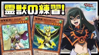 【🔴生放送】霊獣の練習をする夜活【遊戯王デュエルリンクス】