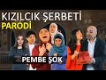 KIZILCIK ŞERBETİ - PEMBE ŞOK - PARODİ