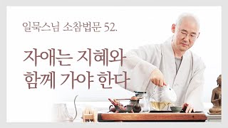 자애는 지혜와 함께 가야 한다ㅣ일묵스님ㅣ초기불교 제따와나선원 일요소참법문 52.