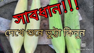 ভুট্টা। বাজারের সেরা ভুট্টা চেনার কিছু টিপস। Vutta. How do yo know good quality Corn.