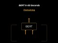 BERT Networks in 60 seconds