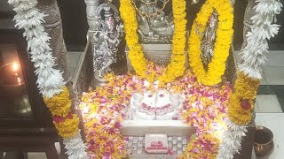 Butati Dham Live Aarti 14/05/24 (7891386159)