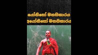 යෝනිසෝ මනසිකාරය හා අයෝනිසෝ මනසිකාරය 👍🏽🙏🏽🙏🏽🙏🏽🙏🏽