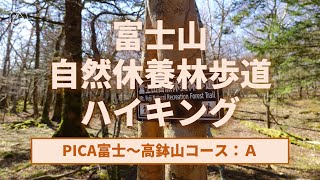 富士山自然休養林Ａコース【登山・ハイキング・日帰り・車・2022年11月19日】 google earth pro