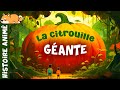 La citrouille géante🎃Histoire pour enfant | Conte pour s'endormir, Magie d'Halloween | Soir