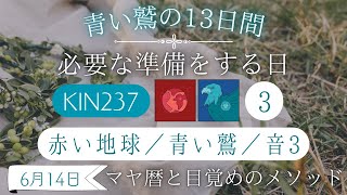 【マヤ暦 KIN237】今日の銀河のエネルギーについて｜キーワードと過ごし方（2024年6月14日）