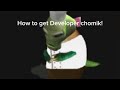 How to get Developer chomik! (find the chomiks)