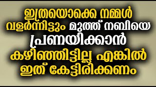 ഇത്രയൊക്കെ നമ്മൾ വളർന്നിട്ടും മുത്ത് നബിയെ പ്രണയിക്കാൻ കഴിഞ്ഞിട്ടില്ലെങ്കിൽ ഇത്കേട്ടിരിക്കണം│Islamic