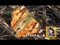 30秒の心象風景26058・草むらに潜む～ヒメアカタテハ～