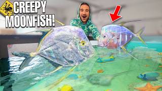 Catching WILD FISH Under CREEPY BRIDGE For My SALTWATER POND!