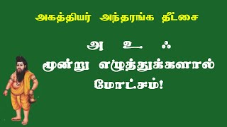 அகத்தியர்தீட்சை.29- சாகா வரம் தரும் அண்டபற்பம் எனும் காயகற்பம்