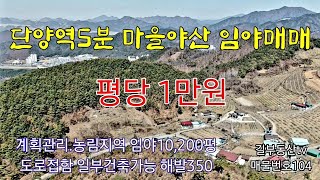 [마을야산매매104] 단양역5분거리 마을야산 도로에 길게접한임야 일부개발가능