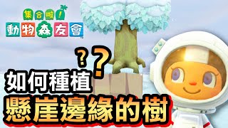 【集合啦！動物森友會】141-如何種植懸崖邊緣的樹？ (Animal Crossing) (2020)