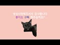 vlog 깨발랄 아기고양이 아무도 쳐다보지 않던 고양이 입양기