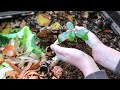 how to make organic npk fertilizer at home