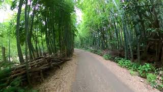 4.自転車GoPRo前面映像　大岩山　京都市伏見区