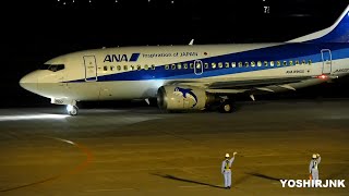 ドルフィン機長行ってらっしゃい ANA (ANA WINGS) Boeing 737-54K JA8500