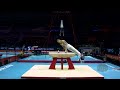 KUZMICKAS Tomas (LTU) - 2022 Artistic Worlds, Liverpool (GBR) - Qualifications Pommel Horse