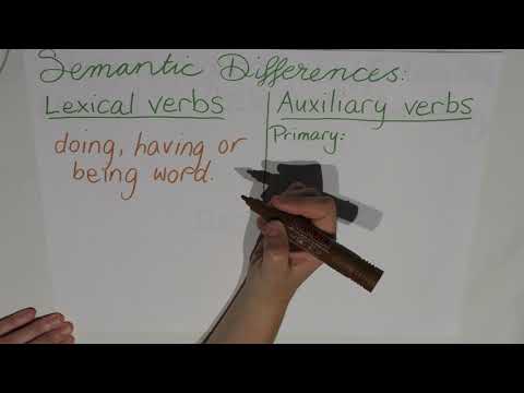 How many types of lexical verbs are there?