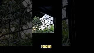 Home fencing solutions #shots #fencingsolution