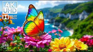 RELAXING MUSIC Beautiful 4K Butterfly Wings 🦋 and Soothing Piano for All Ages