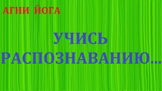 УЧИСЬ РАСПОЗНАВАНИЮ ...