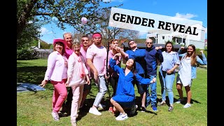 GENDER REVEAL: Fetita sau Baietel?