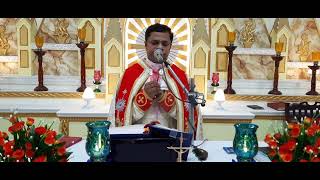 Sunday Holy Mass Sunday  May 22 I 5.30 am I Malayalam I Syro Malabar I Fr  Bineesh Augustine