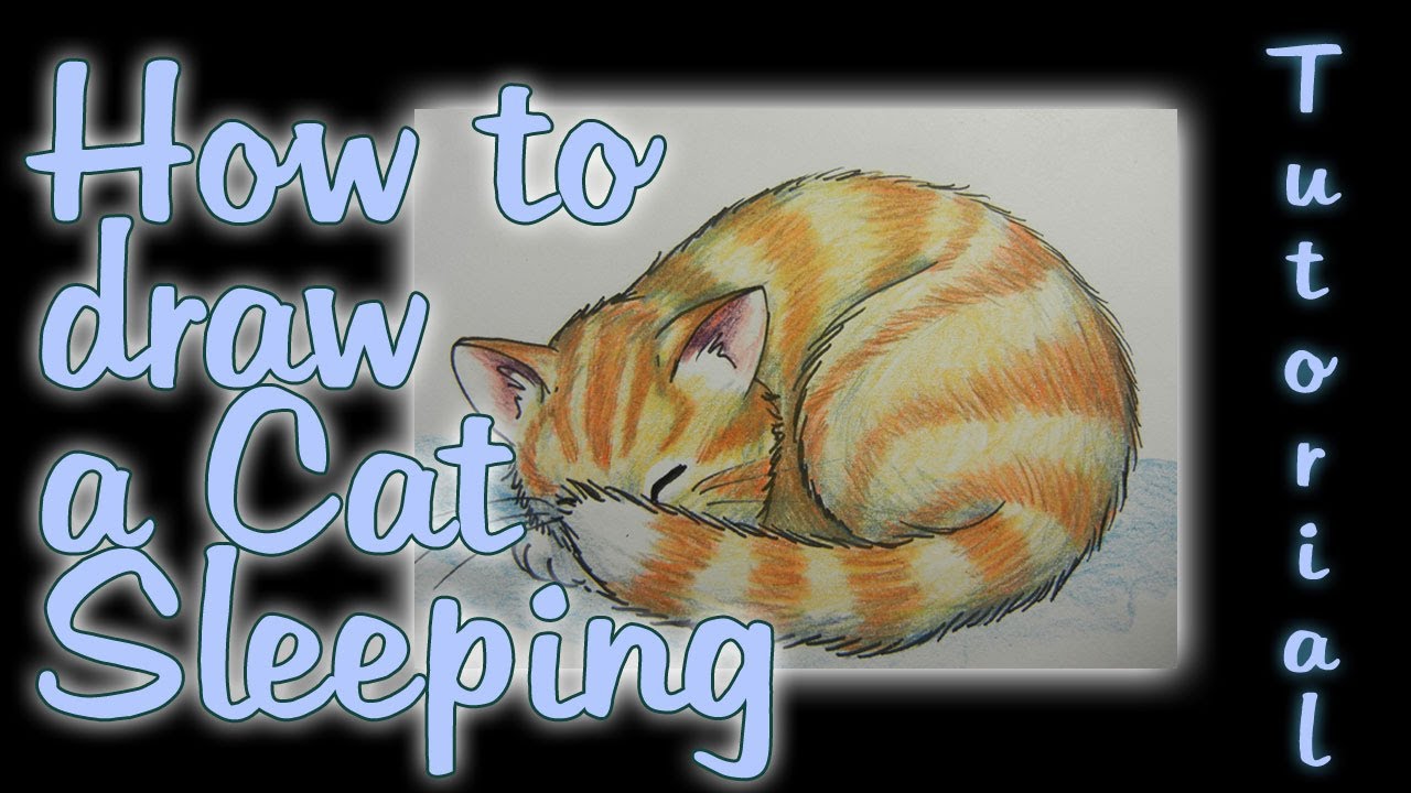 How To Draw A Cat Sleeping Youtube