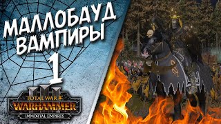 Total War: Warhammer 3 - (Легенда) - Вампиры | Маллобауд #1 The Old World
