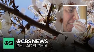 Doctors say now is the time to prepare for spring allergies