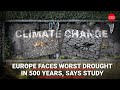 Climate Change: Europe faces worst drought in 500 years, says study